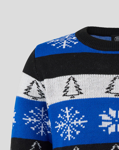 JUNIOR 25/26 CHRISTMAS JUMPER
