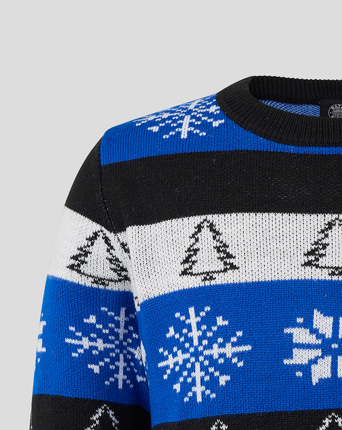 Close-up of shoulder showing blue stripe with snowflakes and a grey stripe with tree motifs on the knitted jumper